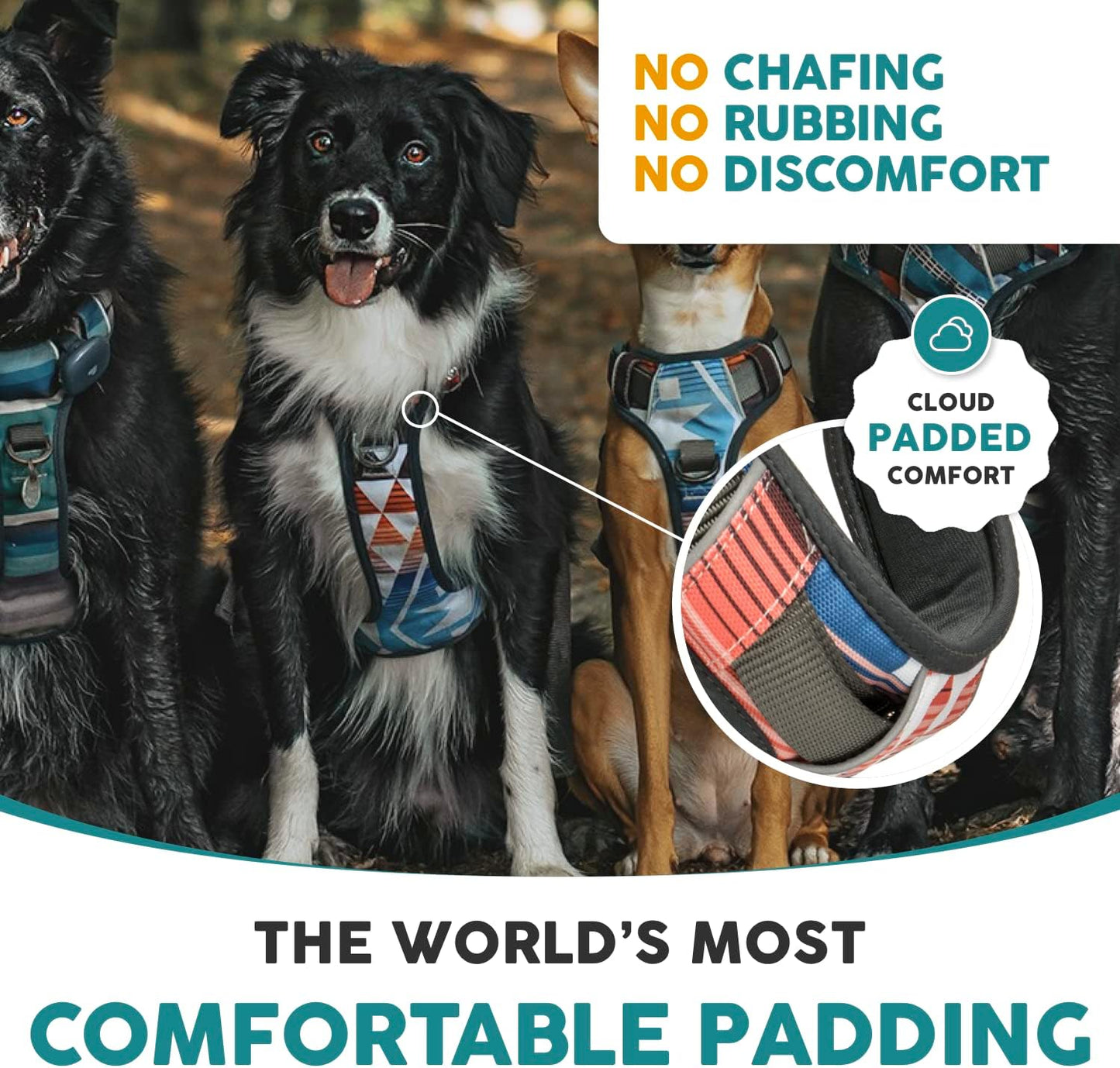 Embark Urban Dog Harness No-Pull Dog Harness for Small Dogs, Medium & Large. 2 Leash Clips, Front & Back with Control Handle, Adjustable Black Dog Vest for Any Breed, Soft & Padded for Comfort