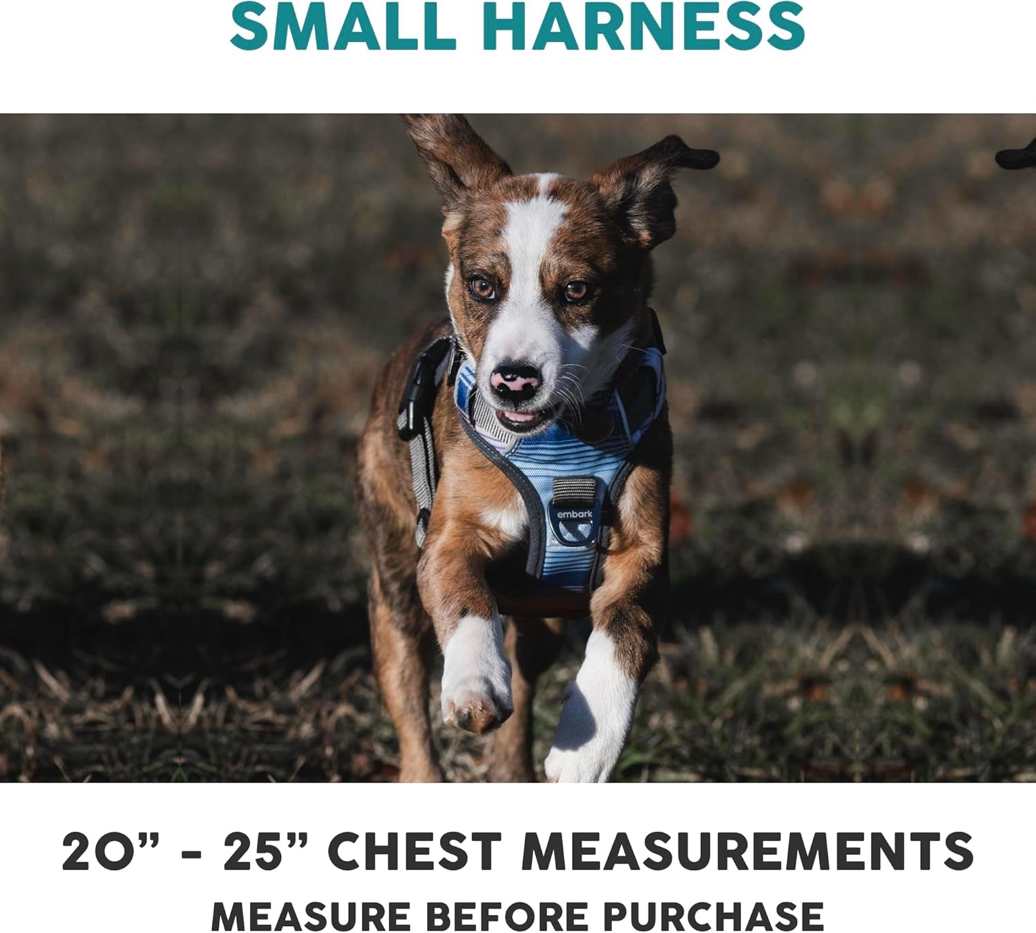 Embark Urban Dog Harness No-Pull Dog Harness for Small Dogs, Medium & Large. 2 Leash Clips, Front & Back with Control Handle, Adjustable Black Dog Vest for Any Breed, Soft & Padded for Comfort