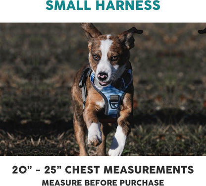 Embark Urban Dog Harness No-Pull Dog Harness for Small Dogs, Medium & Large. 2 Leash Clips, Front & Back with Control Handle, Adjustable Black Dog Vest for Any Breed, Soft & Padded for Comfort